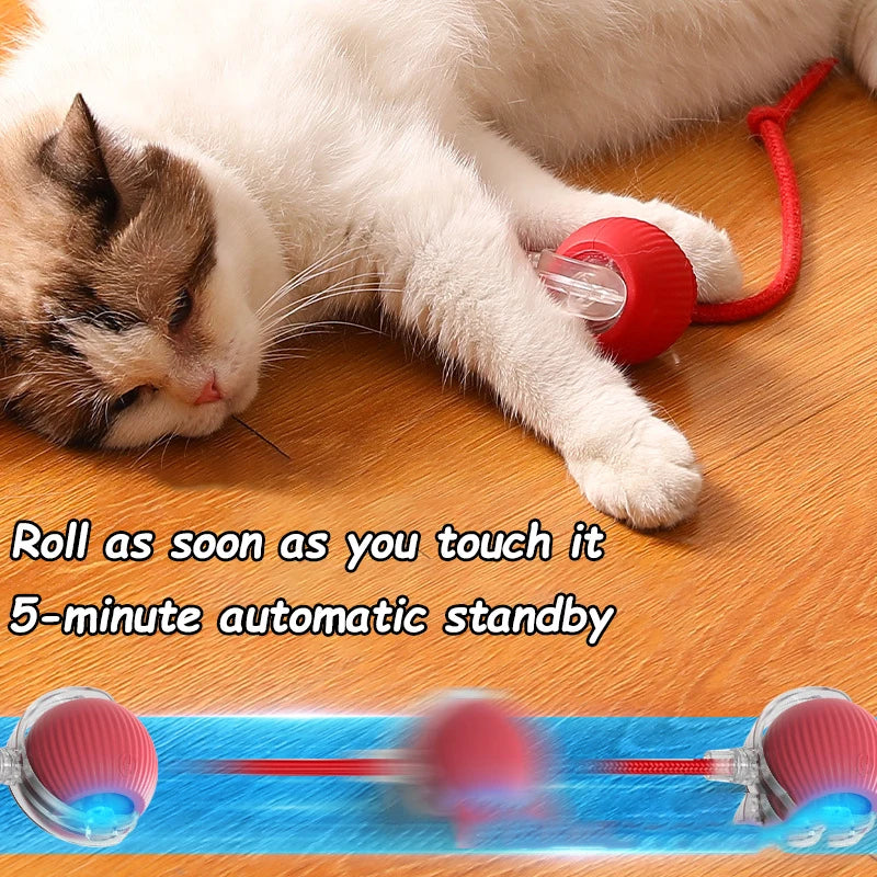 Automatic rolling ball toy